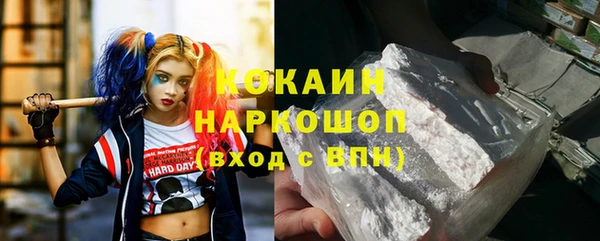 ПСИЛОЦИБИНОВЫЕ ГРИБЫ Богданович